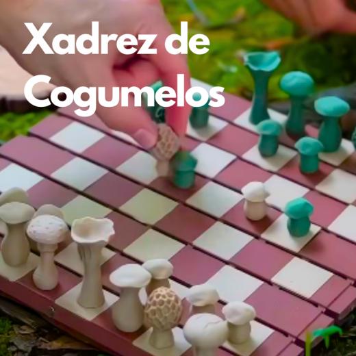 Xadrez com peças em formato de Cogumelos 